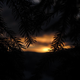 Illustration for article titled Shooting Challenge: Bokeh, Gallery 4